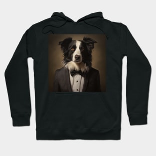 Border Collie Dog in Suit Hoodie